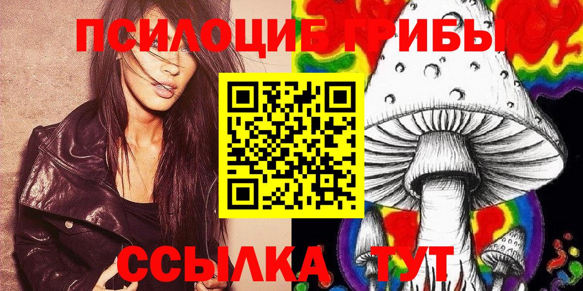 Псилоцибиновые грибы Cubensis Новокузнецк