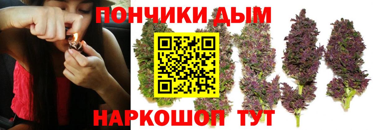 Новокузнецк  Шишки марихуана индика  Марихуана White Widow  Вход с VPN 